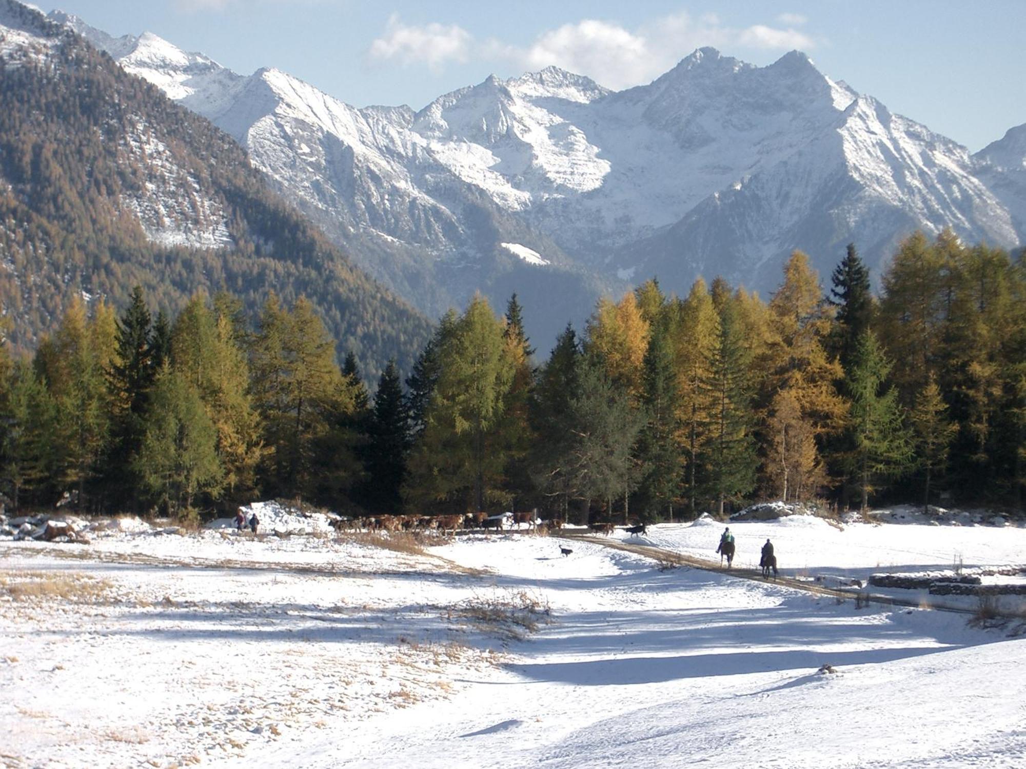 Le Vieux Rascard Chambres D'Hotes Champoluc Exterior foto